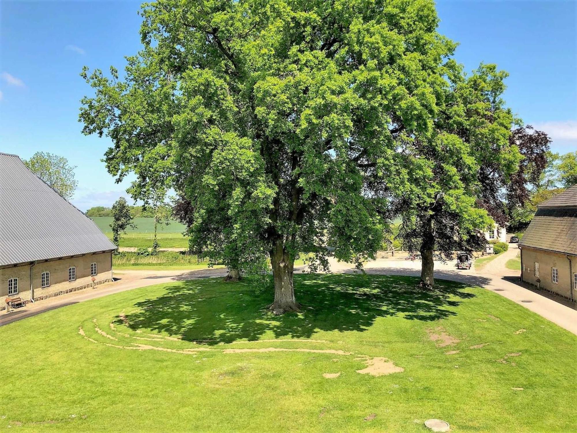 Ferienwohnungen Herrenhaus Gut Oestergaard Steinberg  Exteriör bild
